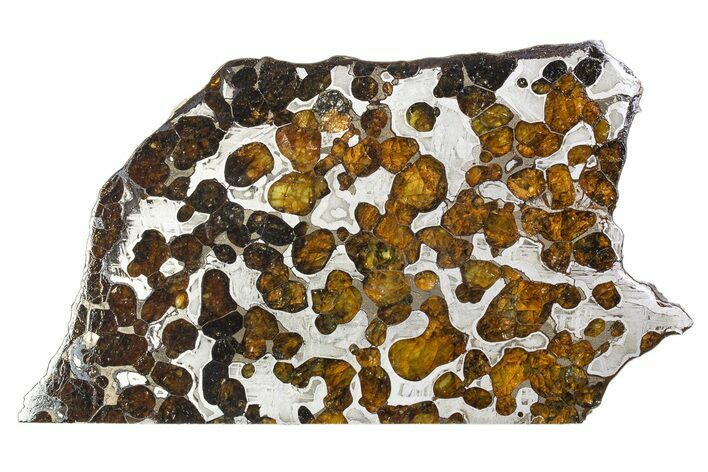 Brenham Pallasite Meteorite ( g) Slice - Kansas #310386